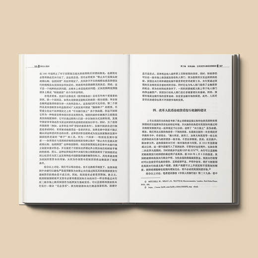 《国内大循环：经济发展新战略与政策选择》 商品图5