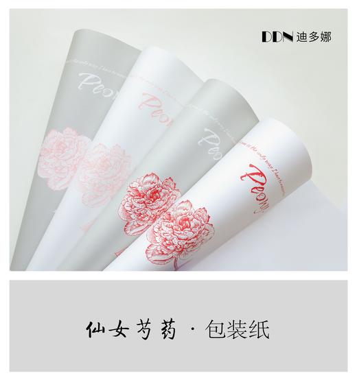 简约网红纸--仙女芍药 商品图3