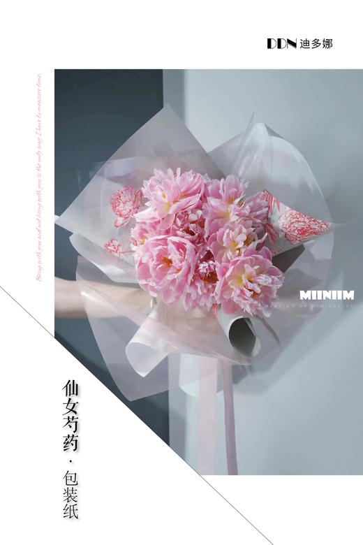 简约网红纸--仙女芍药 商品图10