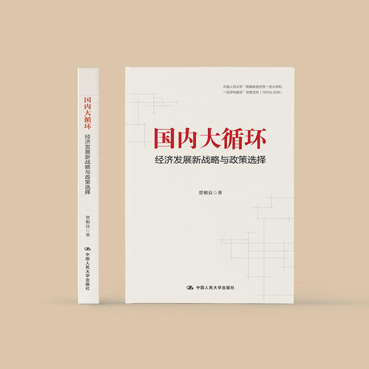 《国内大循环：经济发展新战略与政策选择》 商品图1