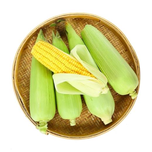 【LY】甜玉米5斤（约5-6根） 商品图0