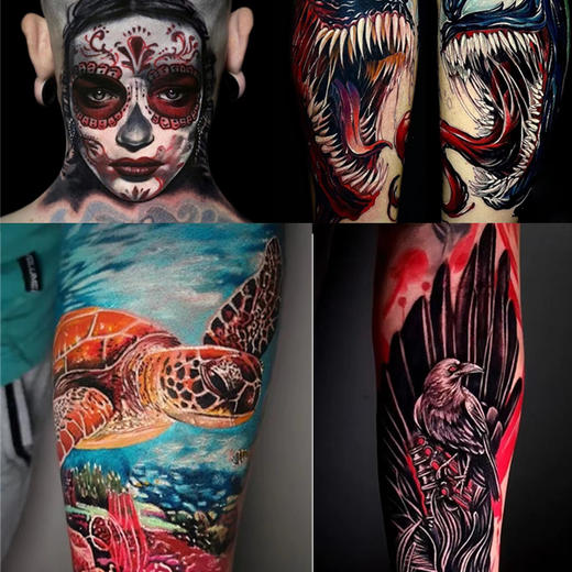 戴安尼彩色水性色料常用色惊蛰刺青器材 商品图3