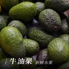 【新鲜水果】牛油果 商品缩略图1