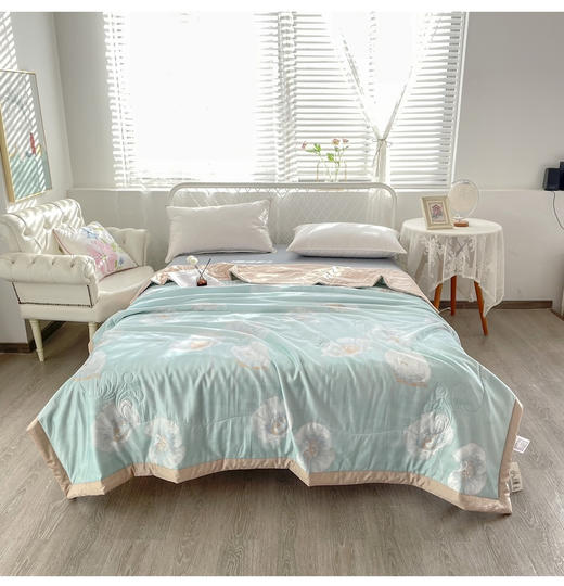 5F千伯伦天然美肤夏被 商品图0