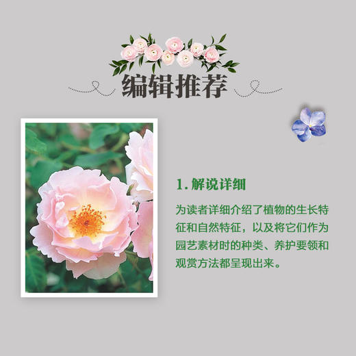花果满园——家庭庭院植物栽培与养护 商品图3