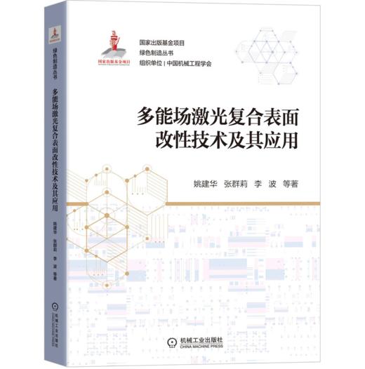 多能场激光复合表面改性技术及其应用 商品图0