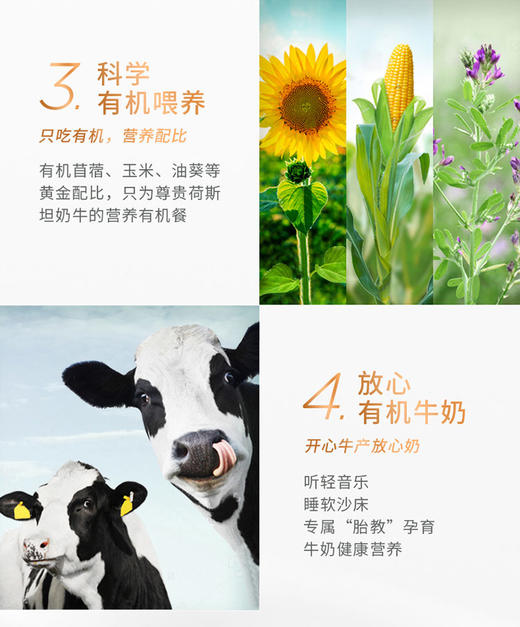 圣牧有机纯牛奶名醇250ml*10盒 沙漠绿洲有机生牛乳 日期新鲜-CY 商品图4