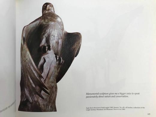 鸟类艺术图集 约百幅彩色插图 精装16开 商品图13