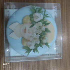 清嘴草本含片糖果   青梅绿茶味   18g