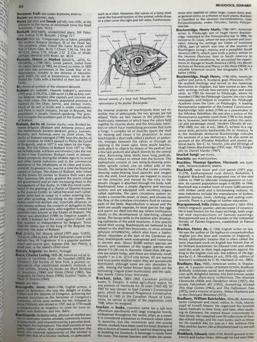 哥伦比亚百科全书 配插图 精装厚重大16开 商品图6