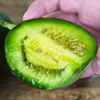 [最农公社]主推|绿宝甜瓜净重3斤/5斤新鲜水果绿宝石香瓜 商品缩略图2