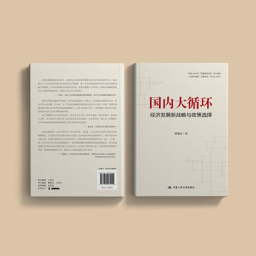 《国内大循环：经济发展新战略与政策选择》 商品图6