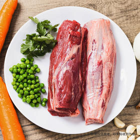 肉食者的新大陆