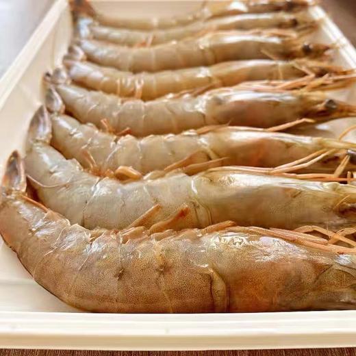 【顺丰包邮】青岛纯海捕对虾3斤装（10~12头/斤） 商品图2