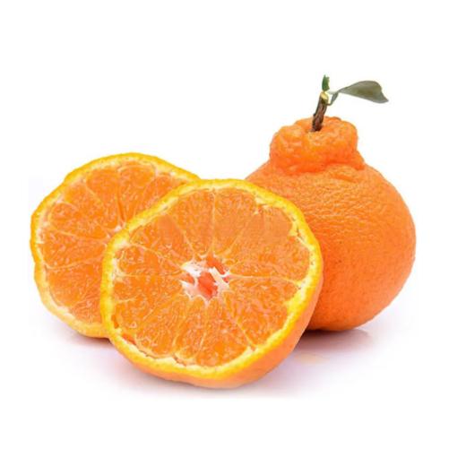 丑橘  约650g  【BC】【DN】 商品图0