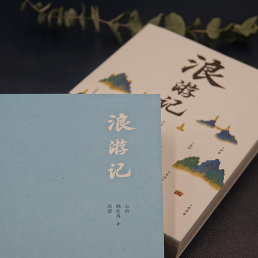 《浪游记》在后疫情时代，让我们共赴一场与旅行的“纸上相逢” 商品图4