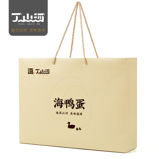 丁山河低盐海鸭蛋20枚1盒 商品图0