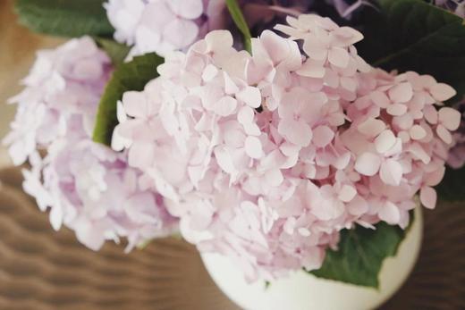 12.在冬日，闻一阵香气 商品图0