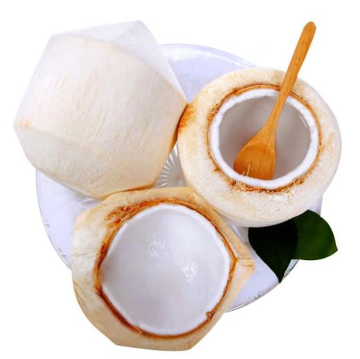 椰子 1个  【BC】【DN】 商品图1