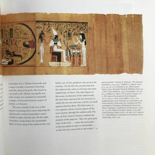美国发掘古埃及论文集 101幅插图 平装大16开 商品图8