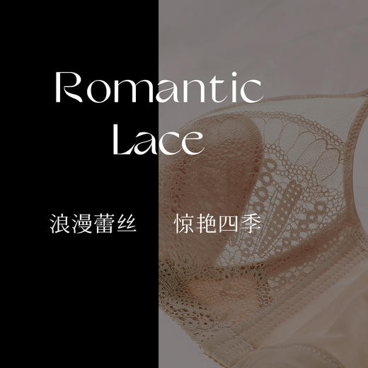 D2-【B-C杯】【大胸显小】超薄性感无钢圈调整型收副乳胸罩内衣女  樱之魅影【大胸-蕾丝】 商品图5