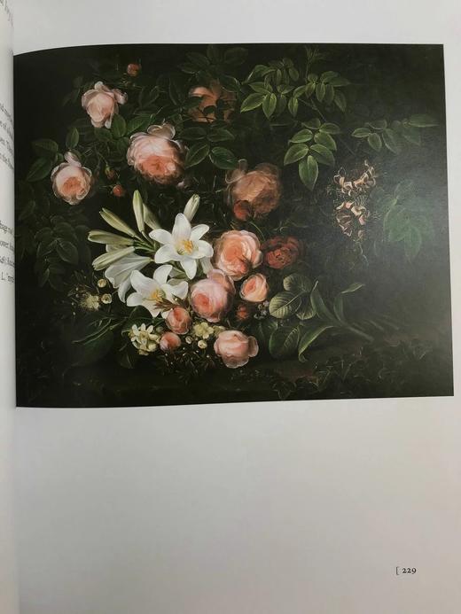 小约翰·勒布大使丹麦艺术收藏图集 128幅彩色插图 平装大16开 商品图7