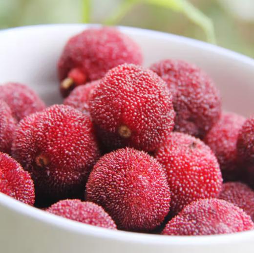 东魁杨梅  约250g 【BC】【DN】 商品图1