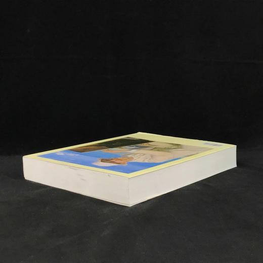 小约翰·勒布大使丹麦艺术收藏图集 128幅彩色插图 平装大16开 商品图2