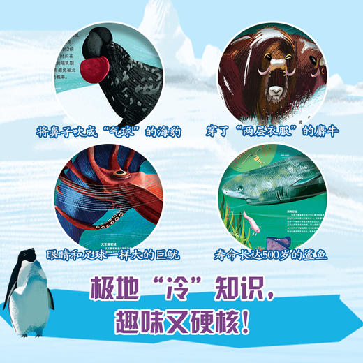 儿童地理百科绘本 南极北极 商品图3