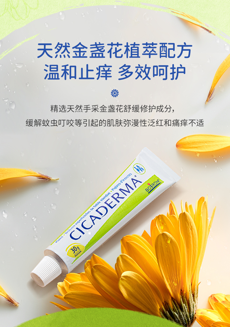 cicaderma药膏图片