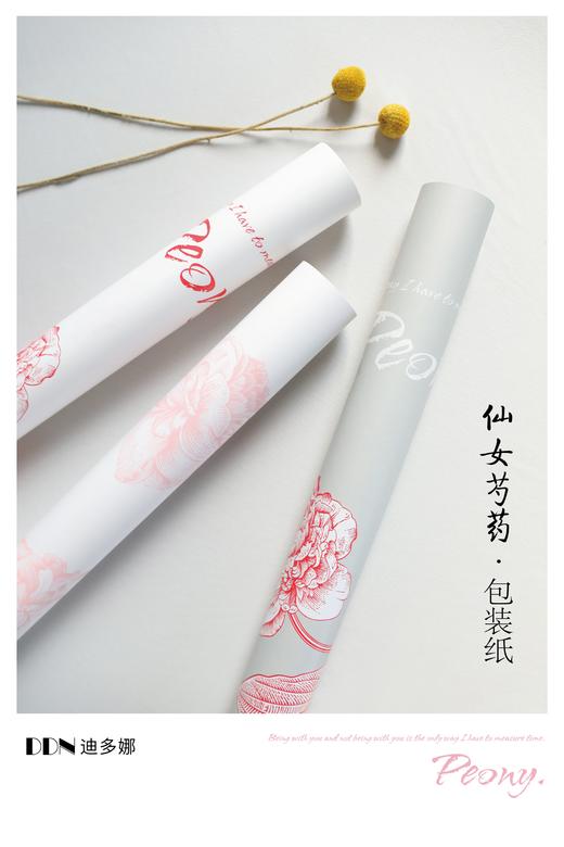 简约网红纸--仙女芍药 商品图1