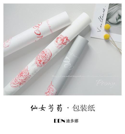 简约网红纸--仙女芍药 商品图4