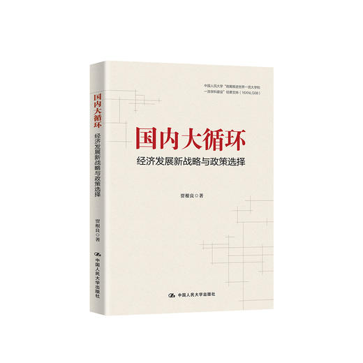 《国内大循环：经济发展新战略与政策选择》 商品图0