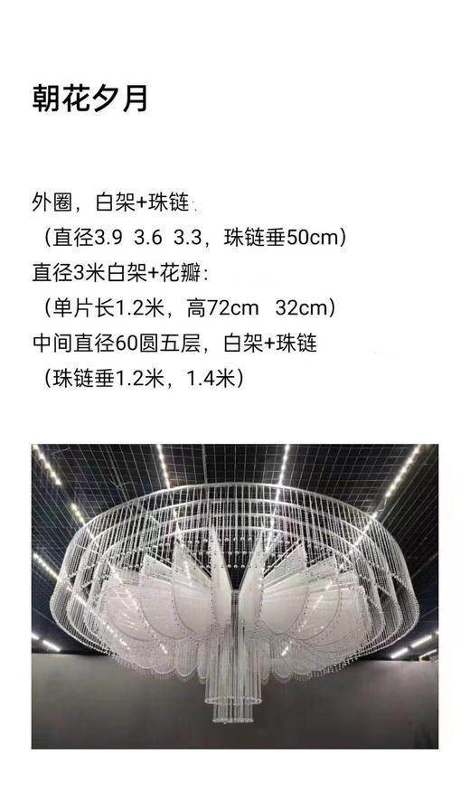 朝花夕月吊顶（运费自理） 商品图0