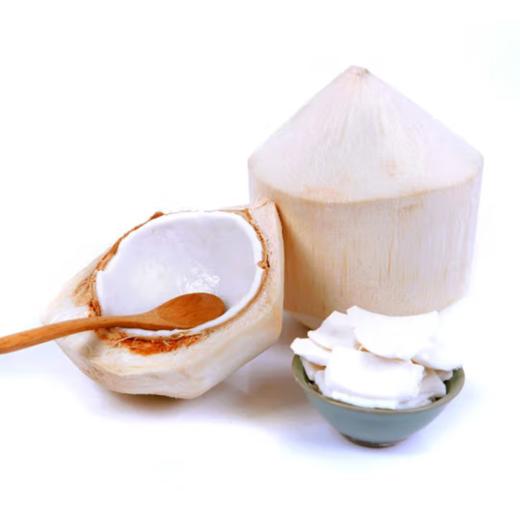 椰子 1个  【BC】【DN】 商品图0