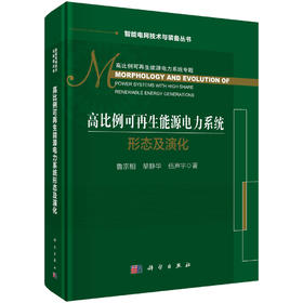 高比例可再生能源电力系统形态及演化/鲁宗相 黎静华 伍声宇