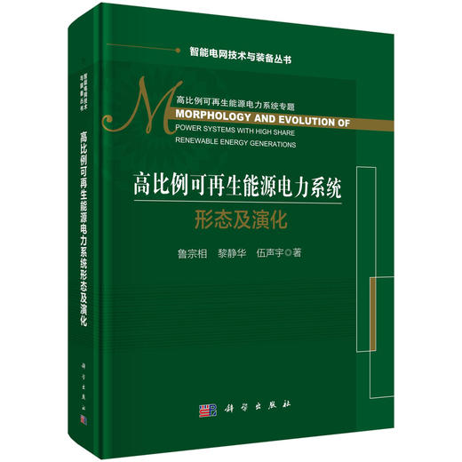 高比例可再生能源电力系统形态及演化/鲁宗相 黎静华 伍声宇 商品图0