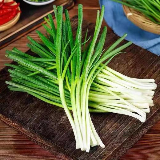 东北小葱一斤（拼团） 商品图1