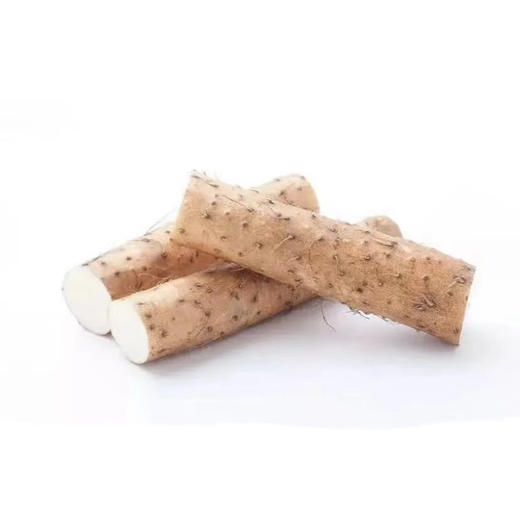 【LY】土山药 450±50g/袋 商品图0