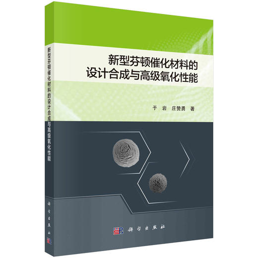 新型芬顿催化材料的设计合成与高级氧化性能/于岩 庄赞勇 商品图0