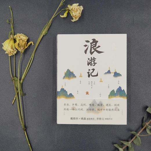《浪游记》在后疫情时代，让我们共赴一场与旅行的“纸上相逢” 商品图2