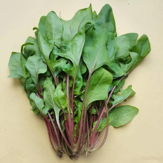 自然农法种植8种蔬菜组合箱 商品图5