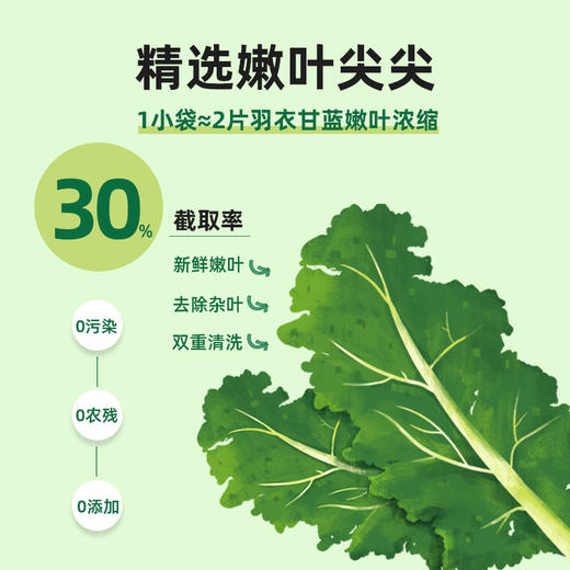 【买2送1】纯羽衣甘蓝粉 500目超微冻干纯粉10倍浓缩精华 高膳食纤维 多种营养元素 自然不添加 轻卡无负担 超模控体必备 喝出健康好身材 商品图8