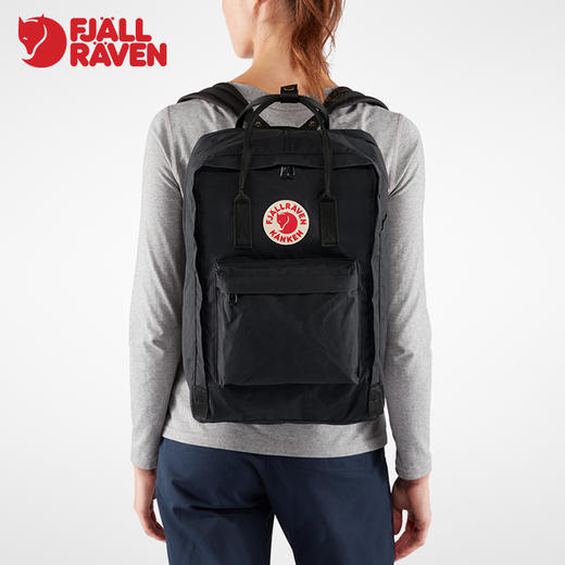 aptop13/15/17英寸电脑双肩包27171 商品图4