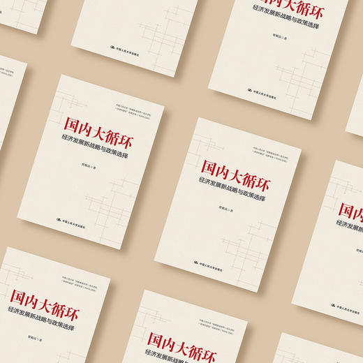 《国内大循环：经济发展新战略与政策选择》 商品图2