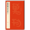 【新华书店旗舰店官网】正版 中国碑帖名品 秦汉简帛名品上下2册 碑帖竹简帛书软笔毛笔书法练字帖 上海书画出版社 商品缩略图1