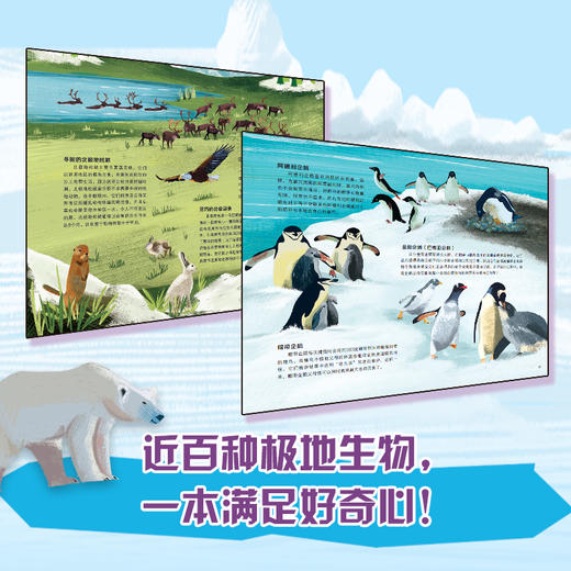 儿童地理百科绘本 南极北极 商品图2