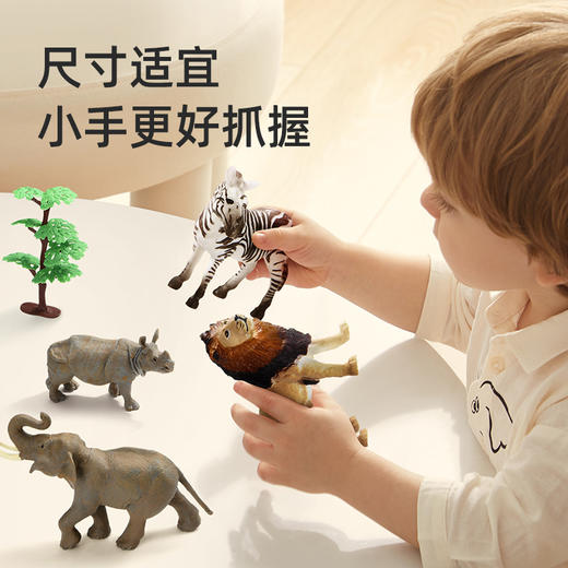 mideer弥鹿恐龙动物仿真模型可爱过家家玩具益智 商品图4