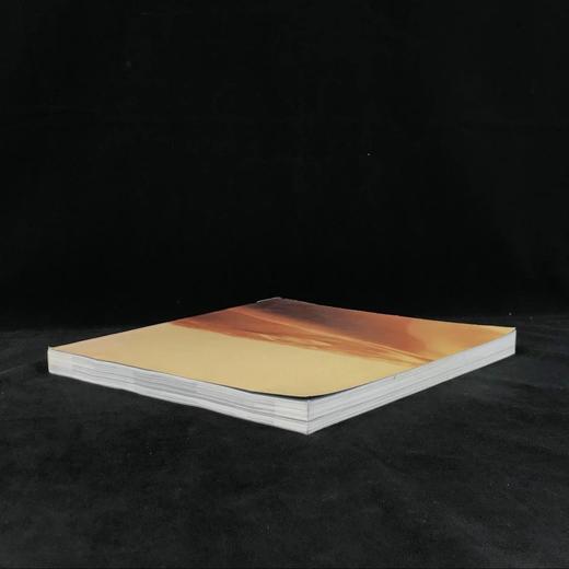 美国发掘古埃及论文集 101幅插图 平装大16开 商品图2