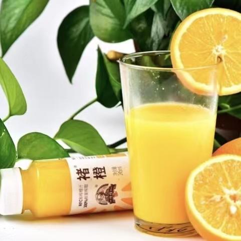 褚橙鲜榨橙汁 葡萄汁 是鲜榨的 很天然 无不良添加 |百里食 商品图1